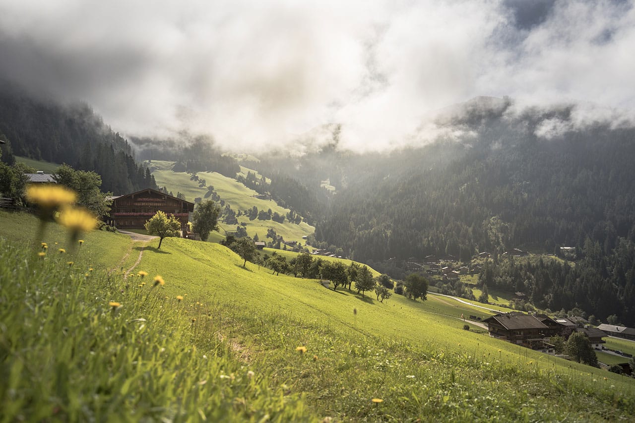 Sommeraktivitäten im Alpbachtal