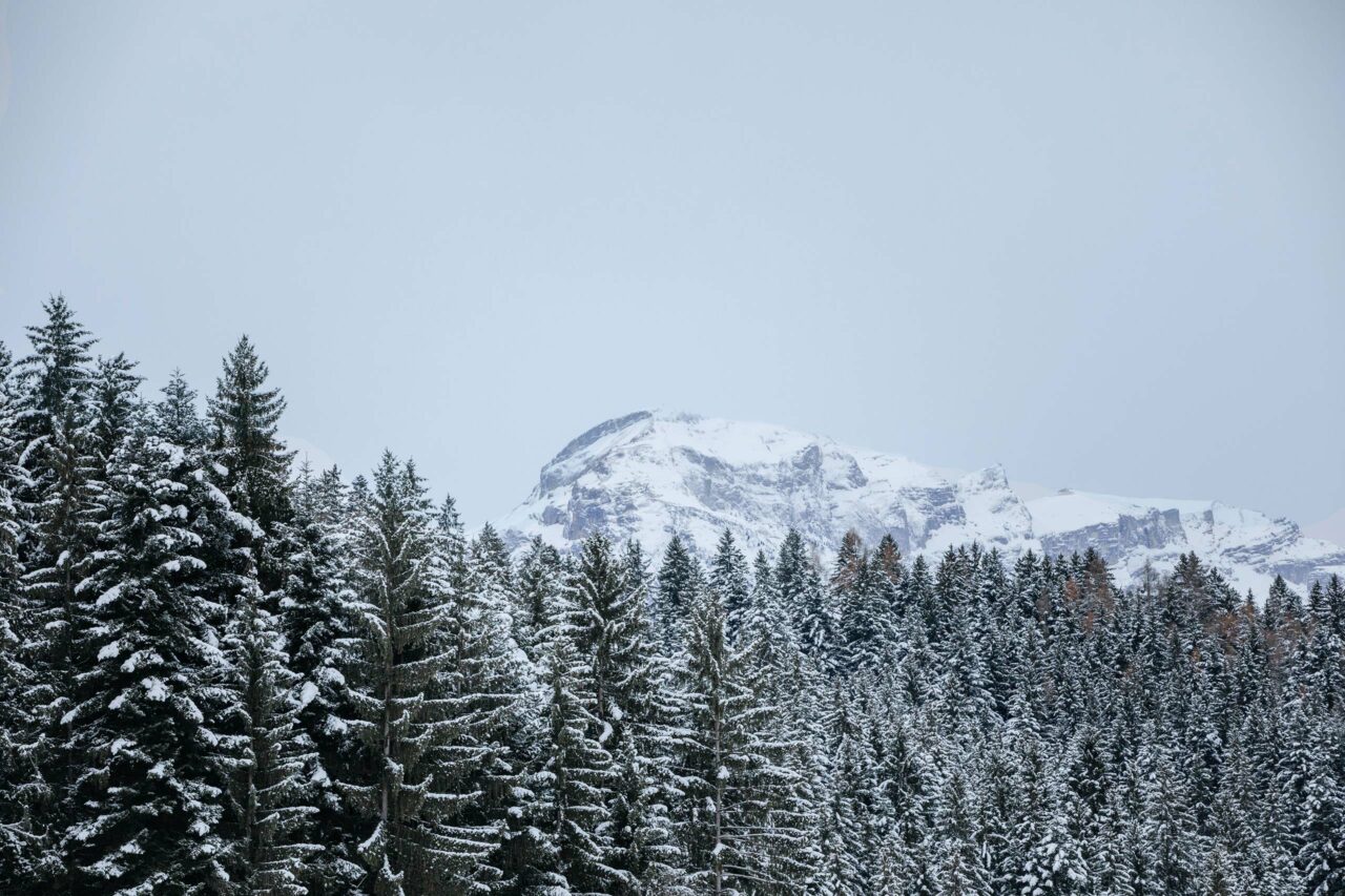 Hynga Chalets Reith im Alpbachtal